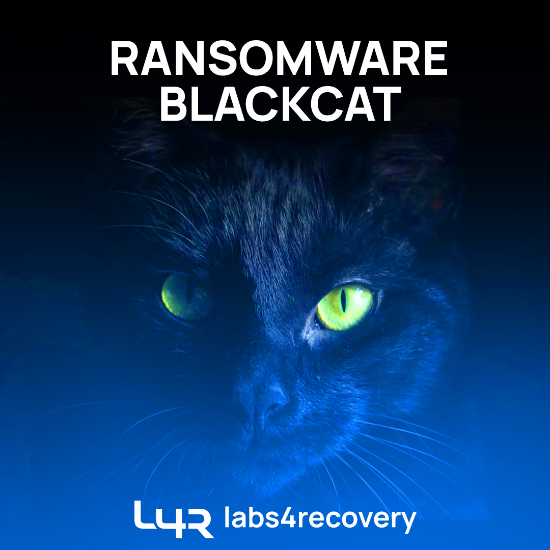 Como desencriptar el Ransomware BlackCat ALPHV .xxtk82y