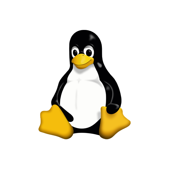Desencriptado de Ransomware Linux, ATAQUE DE RANSOMWARE Linux, Descifrar Archivos de Ransomware Linux