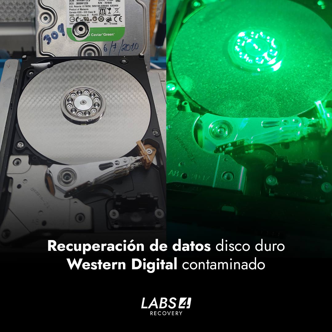 Recuperación de datos disco duro Western Digital contaminado