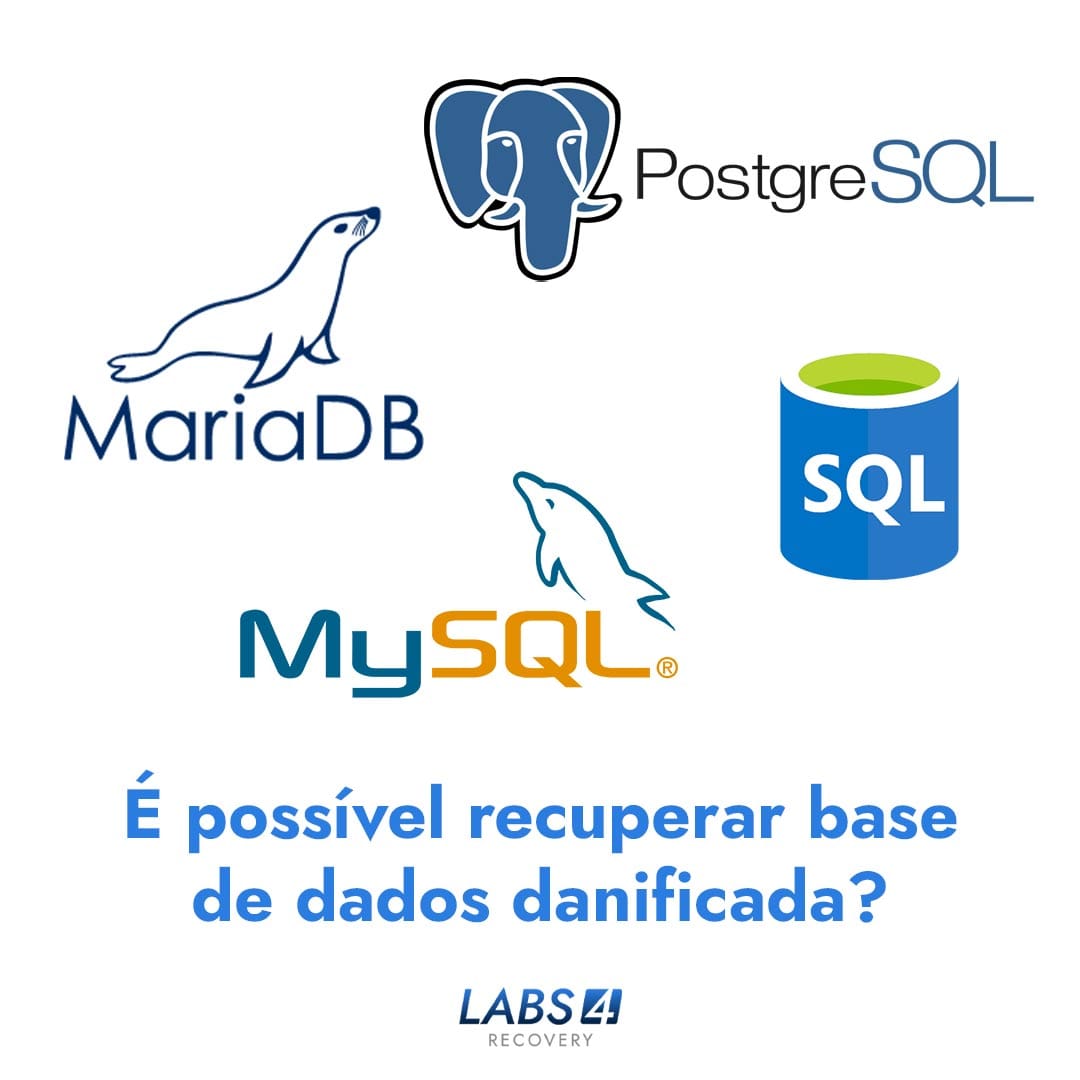 Perdi a base de dados do servidor é possível recuperar base de dados? (SQL, MySQL, PostgreSQL, MariaDB)