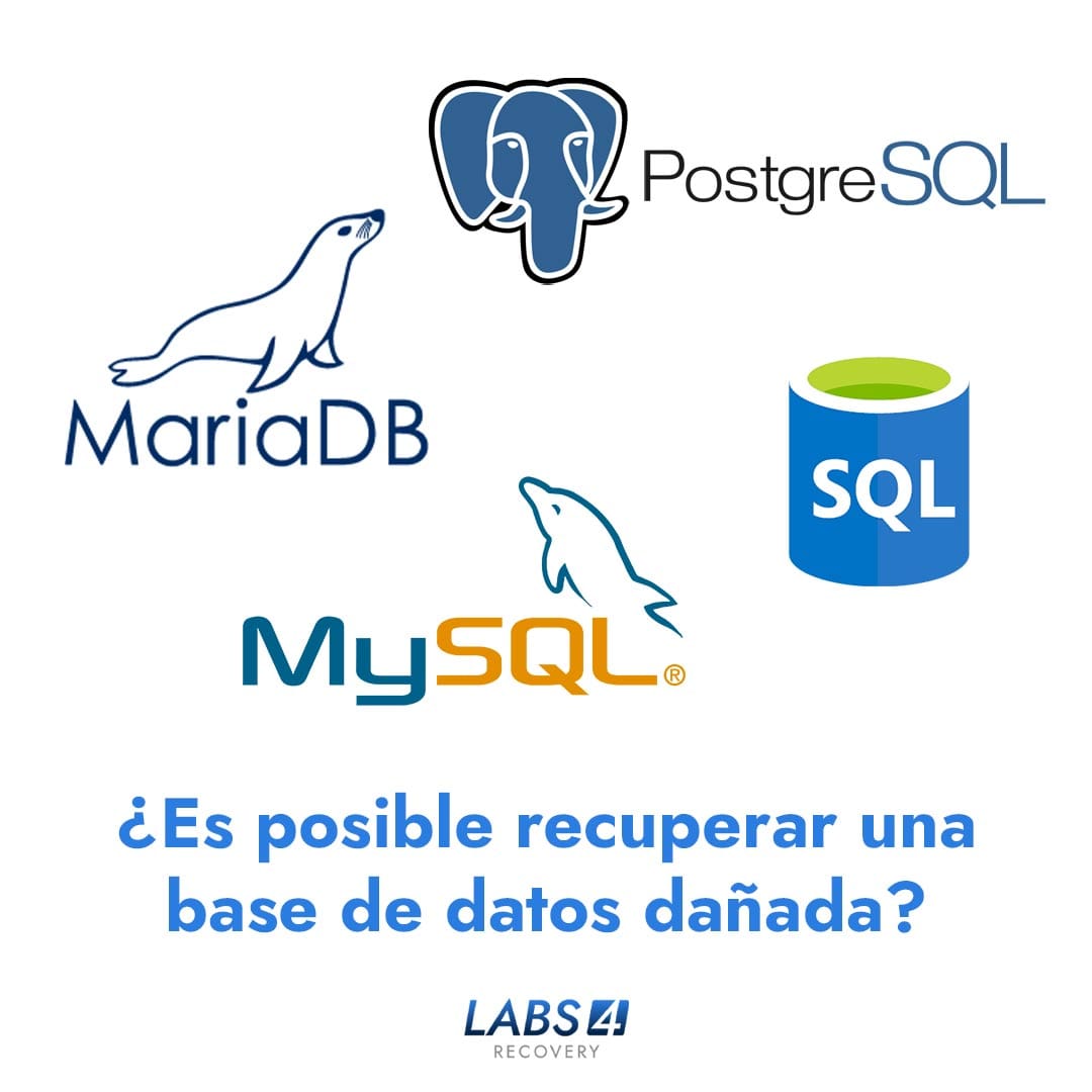es posible recuperar una base de datos