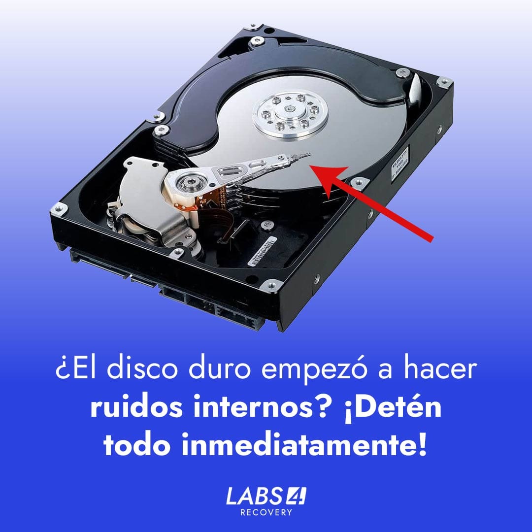 ¿El disco duro empezó a hacer ruidos internos? ¡Detén todo inmediatamente!