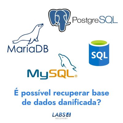 Perdi a base de dados do servidor é possível recuperar base de dados? (SQL, MySQL, PostgreSQL, MariaDB)