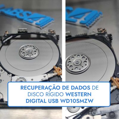 Recuperação de Dados de Disco Rígido Western Digital USB WD10SMZW Manipulado e Pratos com Sulcos