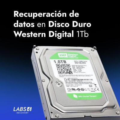Recuperación de datos en Disco Duro Western Digital 1Tb