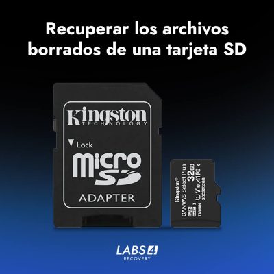 ¿Cómo recuperar archivos borrados de una Tarjeta SD?